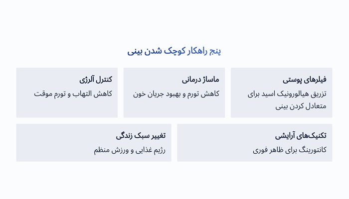 کوچک شدن بینی بدون عمل جراحی 1 راهکارهای کوچک شدن بینی
